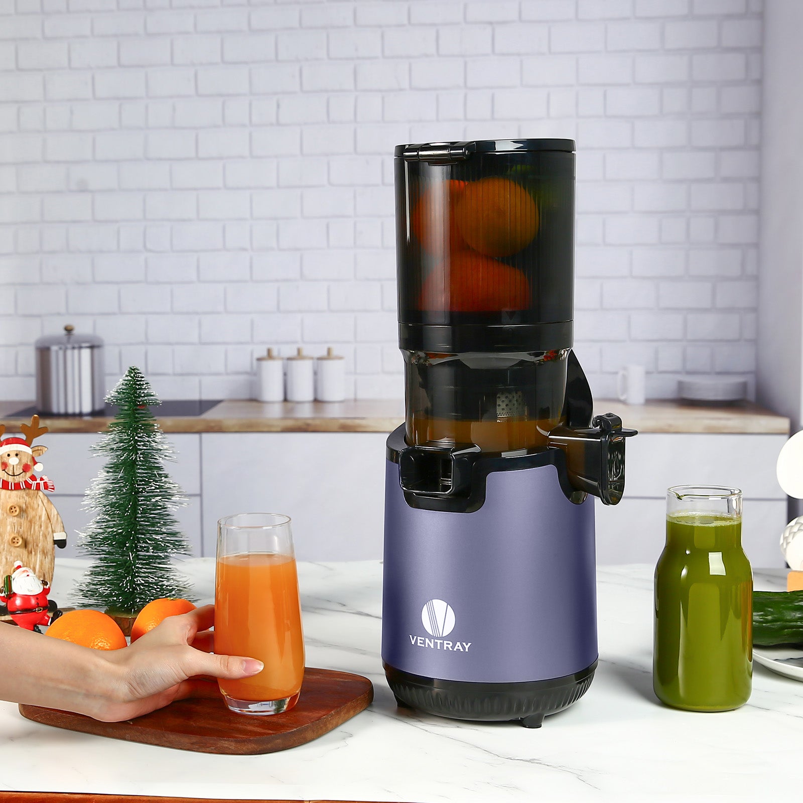 900 Slow Masticating Juicer