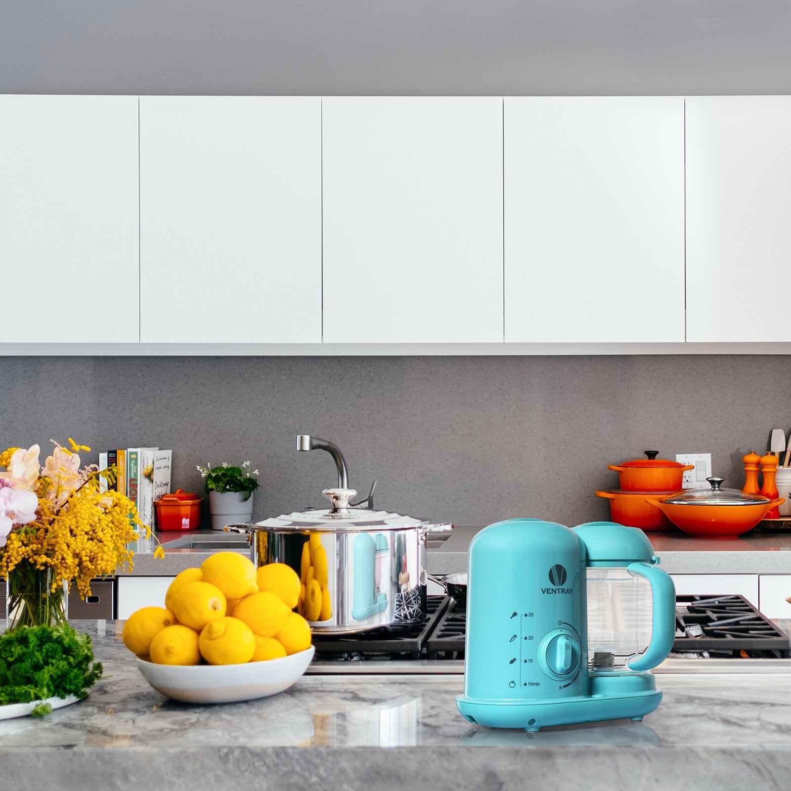 Robot cuiseur pour bébé BabyGrow