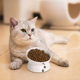 Cat Food Bowls 5" White