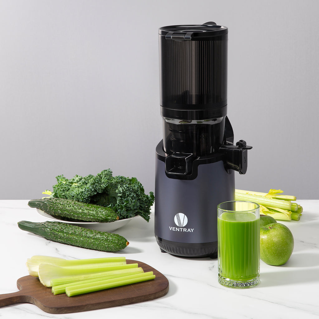 900 Slow Masticating Juicer Ventray Canada