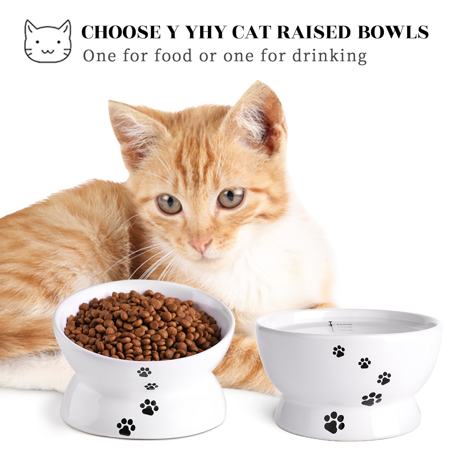 Cat Food Bowls 5" White
