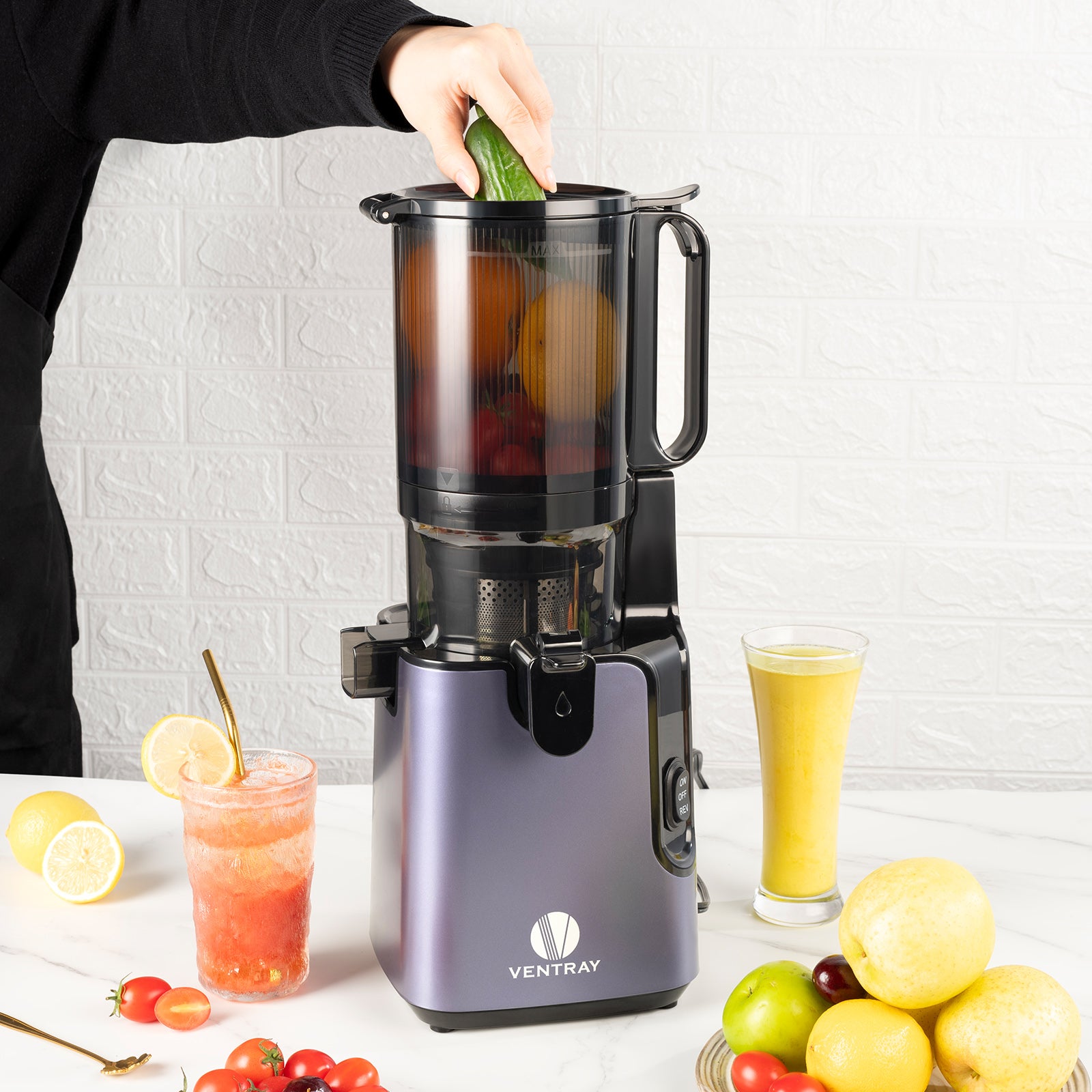 905 Cold Press Juicer – Ventray Canada