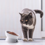Cat Food Bowls 5"