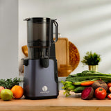 905 Cold Press Juicer