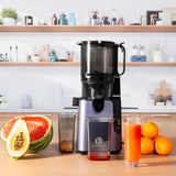 905 Cold Press Juicer